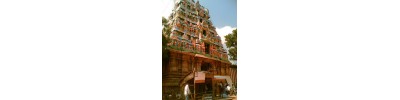 திருநாகேஸ்வரம் 